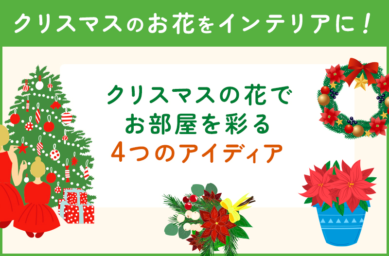 クリスマスの花で部屋を飾りつける４つのアイデア