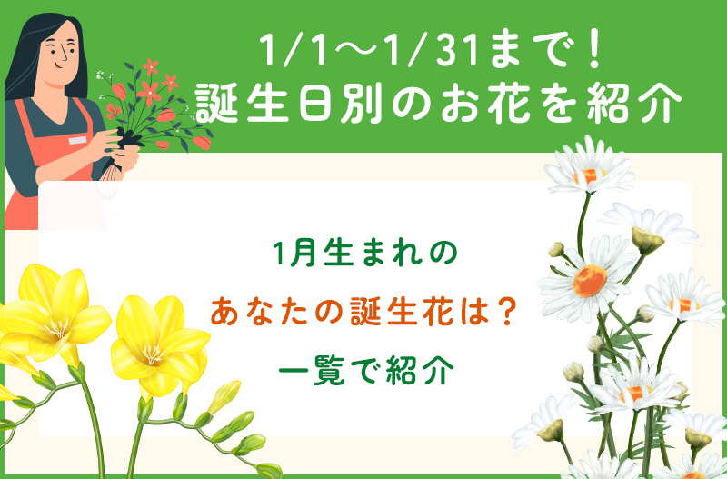 1月1日から31日までの誕生花