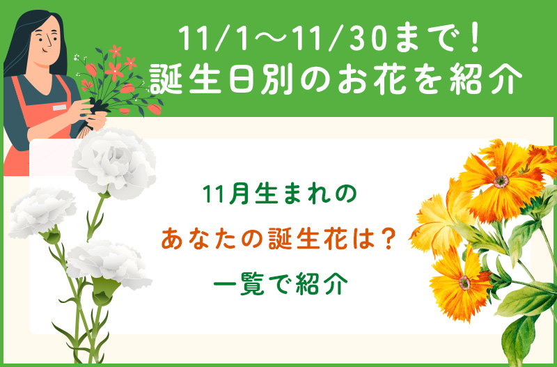 11月1日から30日までの誕生花