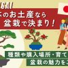 日本のお土産なら盆栽で決まり！