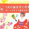 【完全版】1月の誕生花と花言葉