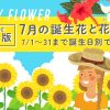 【完全版】7月の誕生花と花言葉