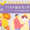 【完全版】11月の誕生花と花言葉