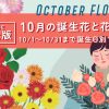 10月の誕生花と花言葉