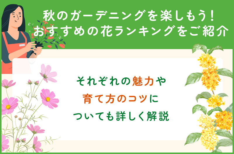 秋の花のおすすめランキング