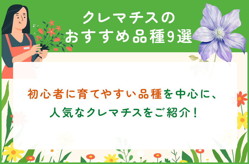 クレマチスのおすすめの品種