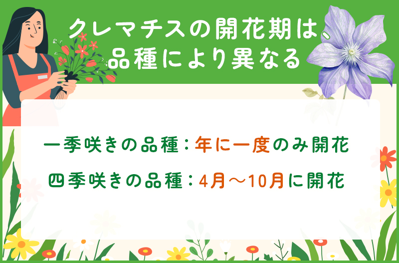 クレマチスの開花期は品種により異なる