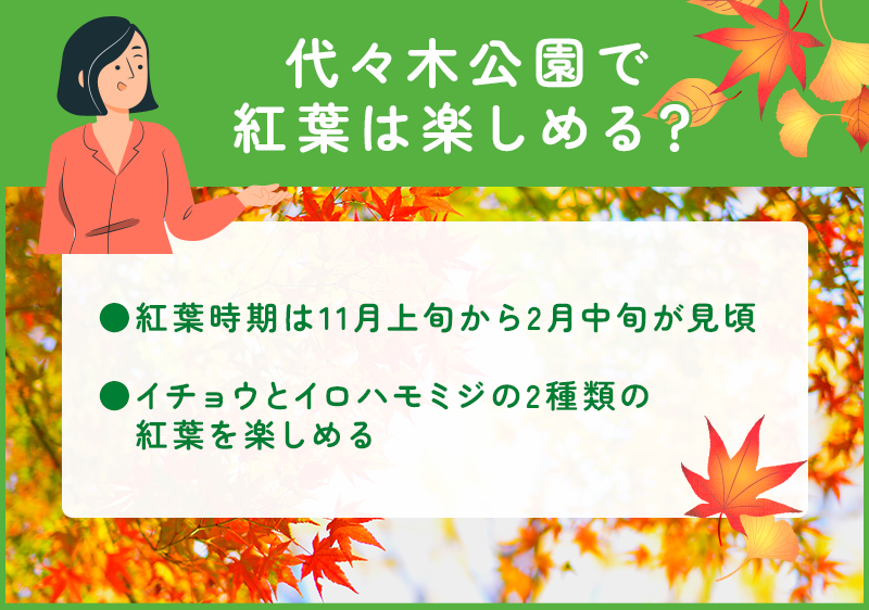 代々木公園では紅葉を楽しめる