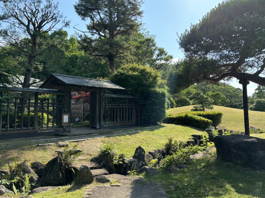 日本庭園　植物　みどり　空