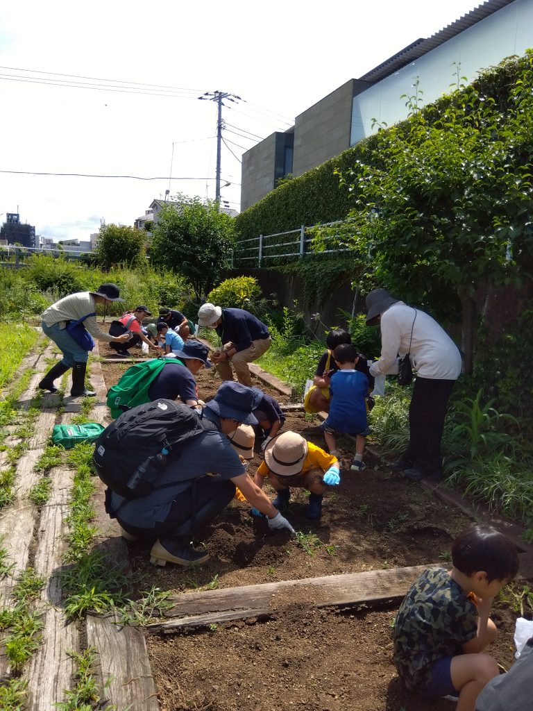 じゃがいもほろう！