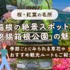 恩賜箱根公園の魅力