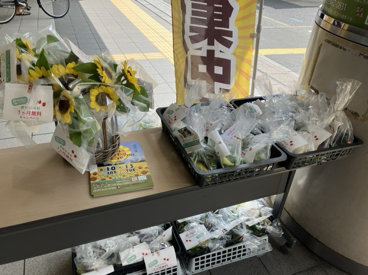 野菜＆ひまわり配布