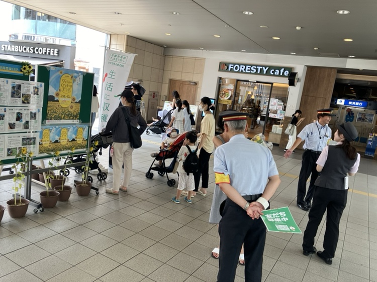 野菜＆ひまわり配布開始