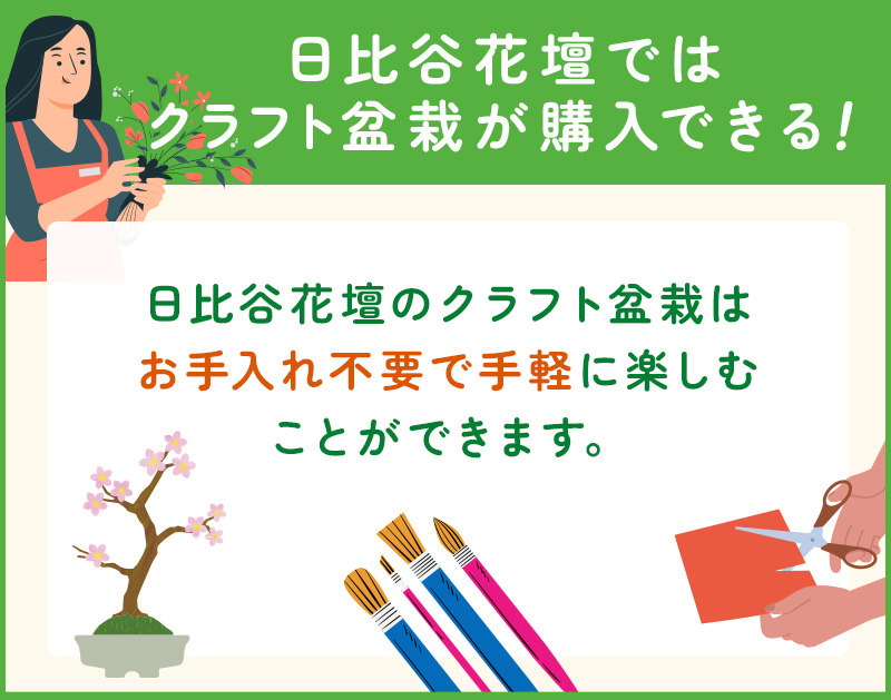 日比谷花壇ではクラフト盆栽が購入できる