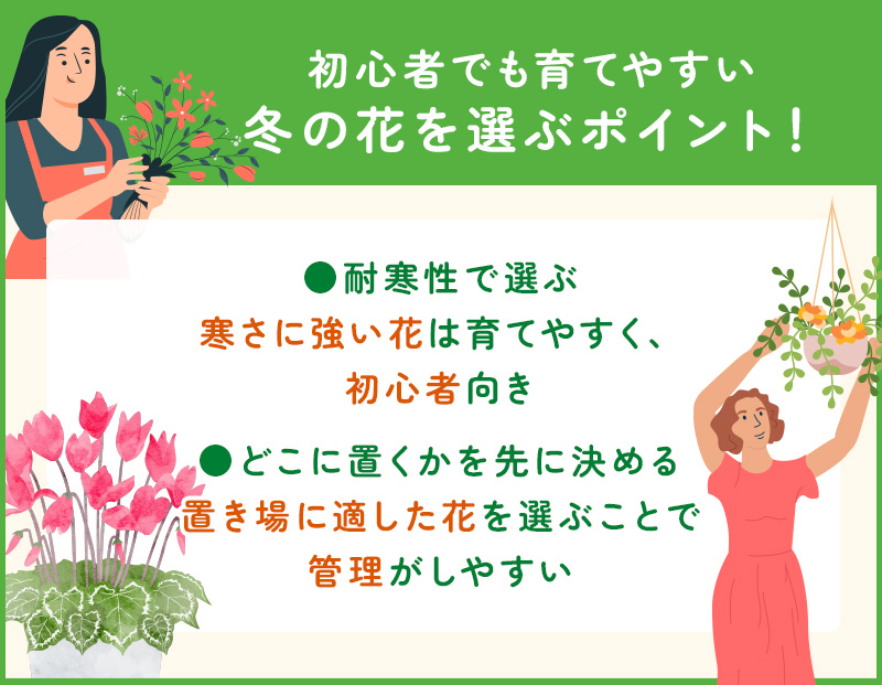 冬の花を選ぶポイント