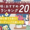 冬に咲くオススメ花ランキング20選