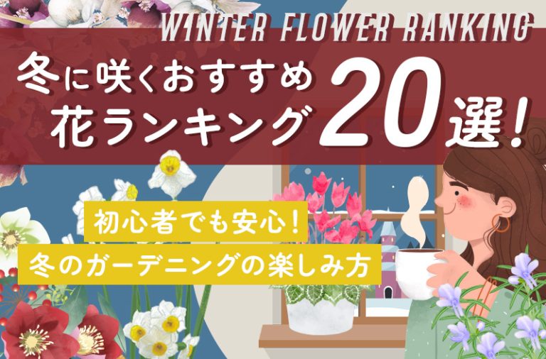 冬に咲く花ランキング20選！冬のガーデニングの楽しみ方 - Nature Station