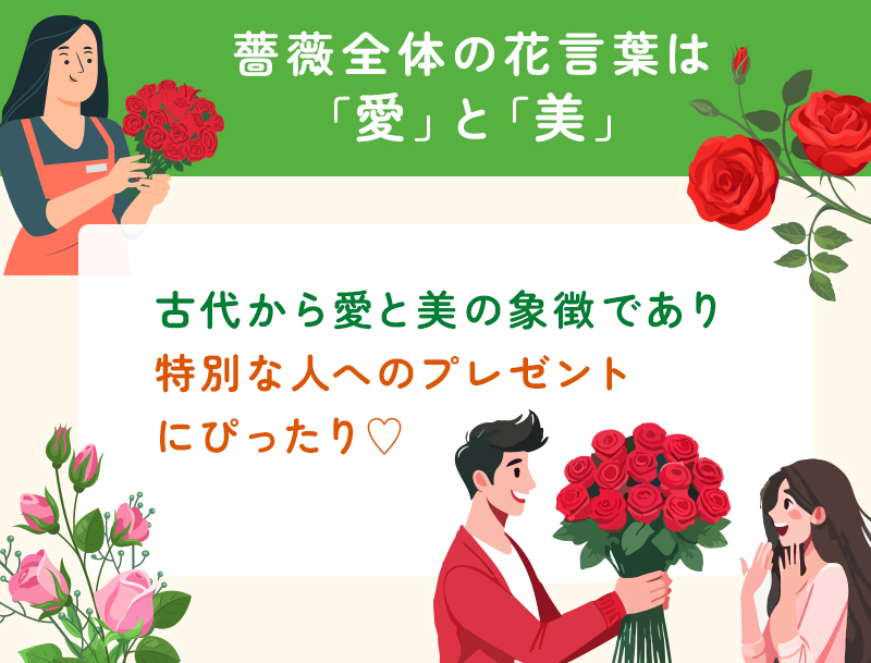 バラの全体の花言葉は愛と美