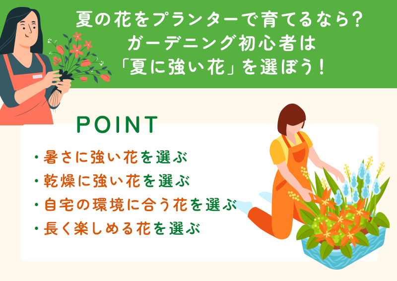 ガーデニング初心者におすすめの夏の花