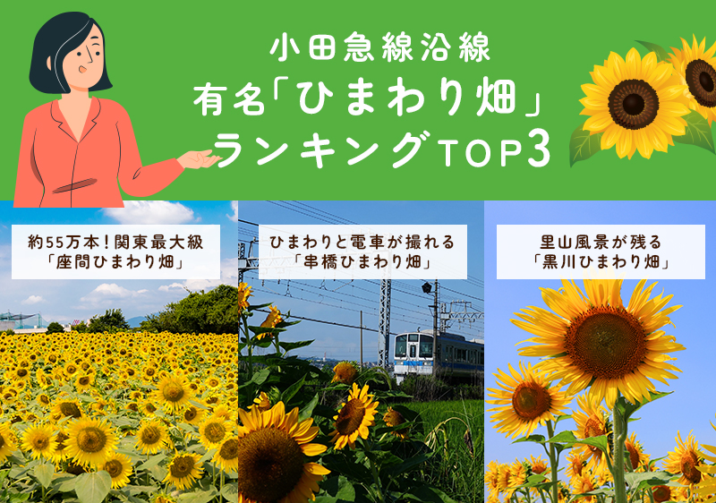 ひまわり畑のランキング