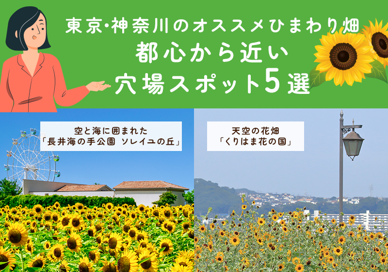 都心から近いひまわり畑