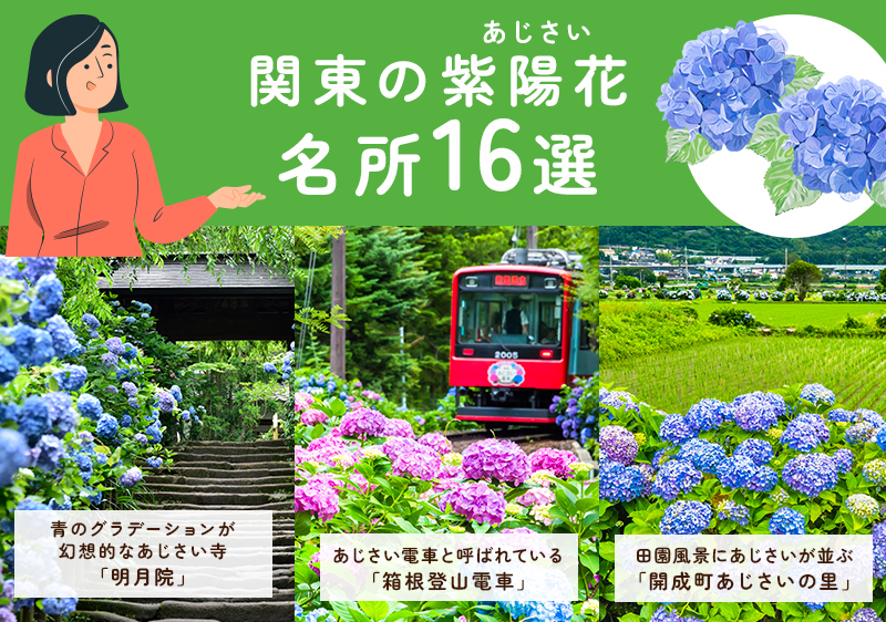 関東の紫陽花スポット16選