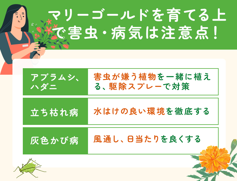 害虫と病気に注意
