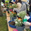 寄せ植え教室　イベント　淵野辺公園　ヒビヤカダンスタイル　花　公園　店長