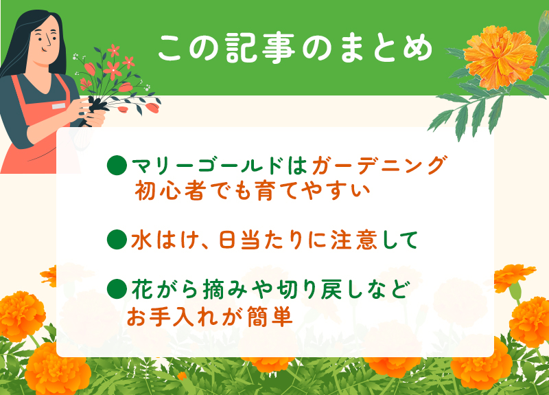 マリーゴールドの育て方
種まき、水やり、花がら摘みのコツを解説
のまとめ
