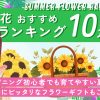 夏の花オススメランキング20選