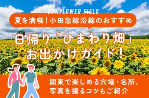 夏を満喫！小田急線沿線のおすすめひまわり畑お出かけガイド - Nature