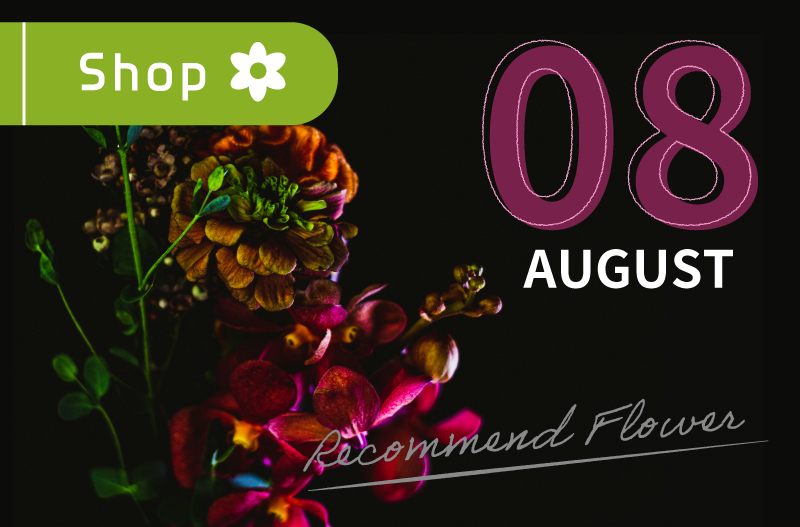 レコメンドフラワー、８月の花、旬の花、日比谷花壇、Hibiya-Kadan Style