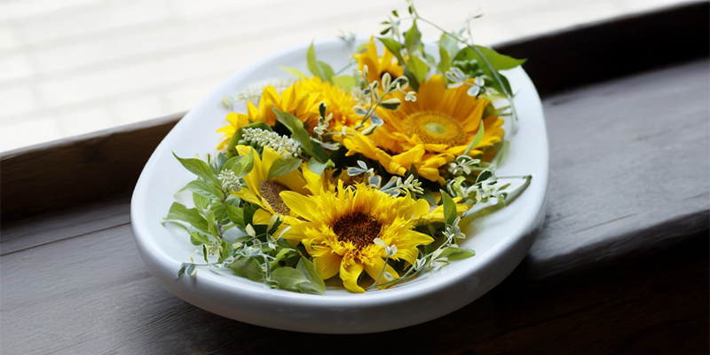ひまわり　夏の花　レコメンドフラワー