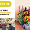 相模原市　淵野辺公園　季節の寄せ植え教室　日比谷花壇　ランドフローラ　花　イベント