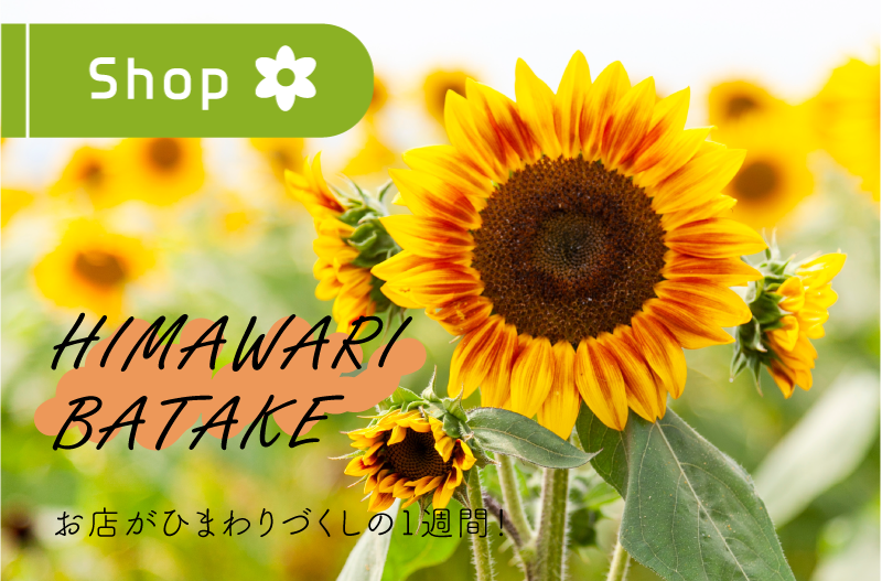 ひまわり畑　ひまわり　夏の花　旬の花　花摘み体験　屋内　フォトスポット　Hibiya-Kadan Style　ヒビヤカダンスタイル