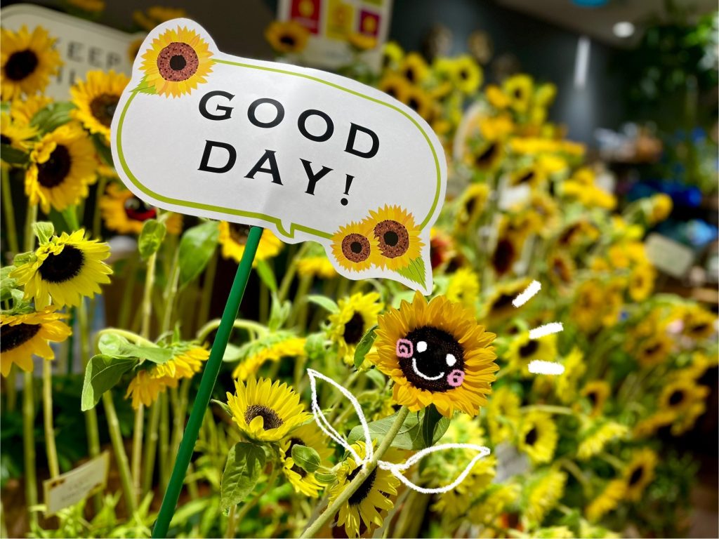 ひまわり畑 ひまわり お花摘み お花摘み体験 フォトスポット 夏の思い出