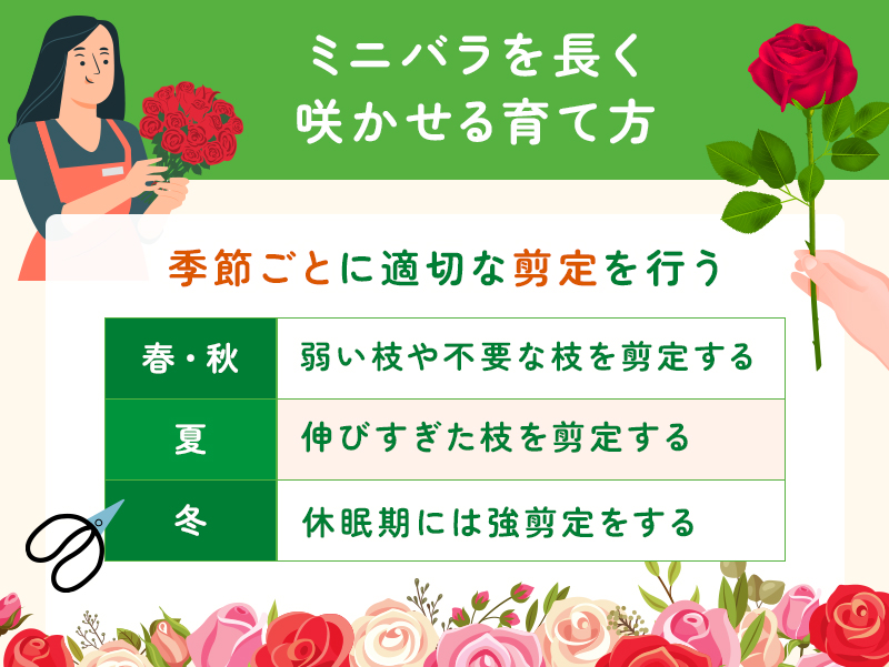 ミニバラを長く咲かせる育て方