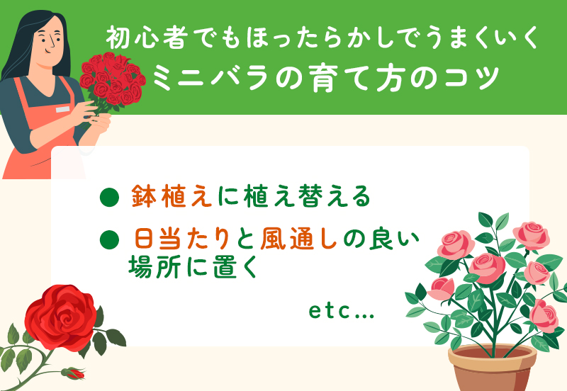 ミニバラの育て方