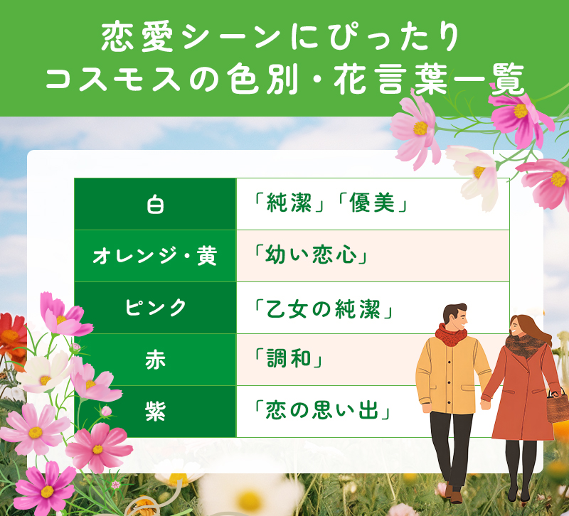 コスモスの色別花言葉一覧