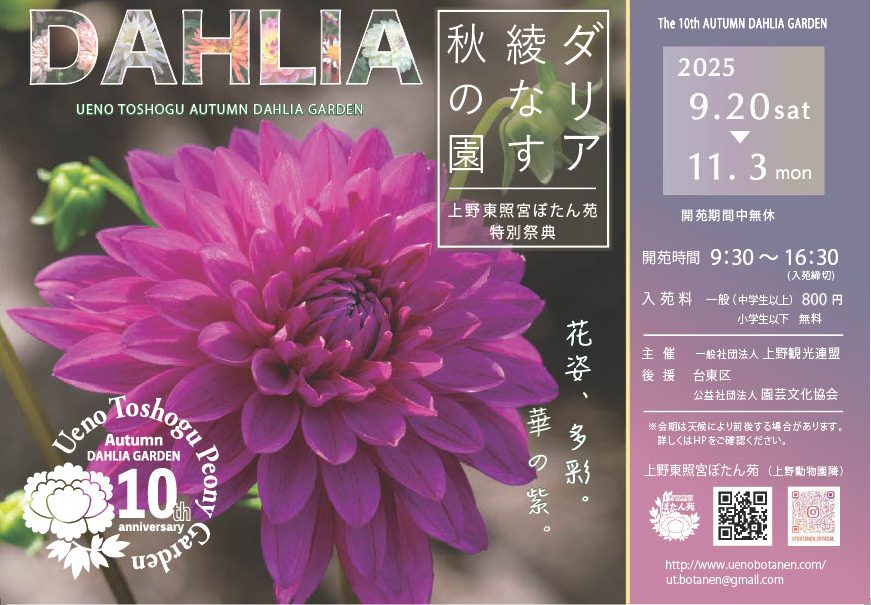 ﾀﾞﾘｱﾁﾗｼ