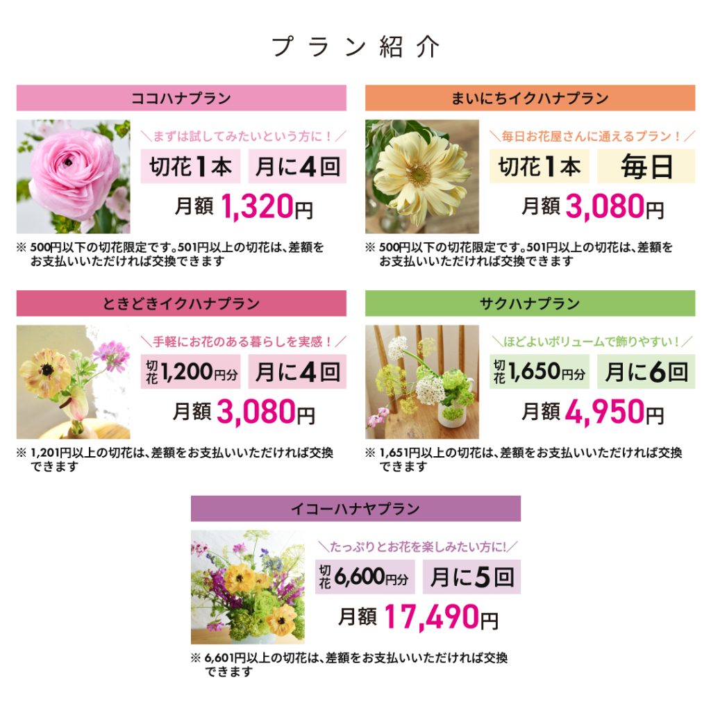 ハナノヒ プラン ココハナ イクハナ サクハナ イコーハナヤ