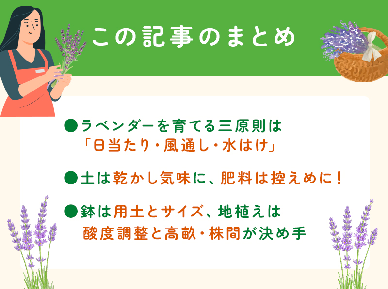 ラベンダーの育て方｜初心者でも失敗しない鉢植え・地植えのコツのまとめ