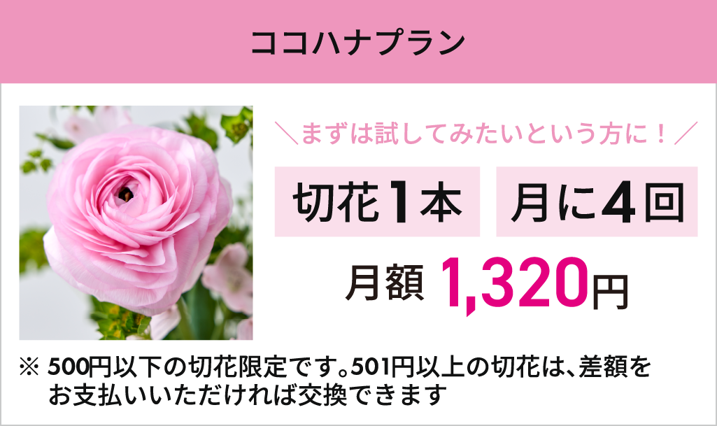 ハナノヒ ココハナプラン お花のサブスク