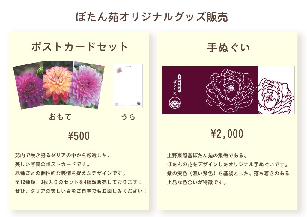 ｵﾘｼﾞﾅﾙｸﾞｯｽﾞ