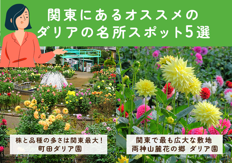 関東のダリアのおすすめスポット