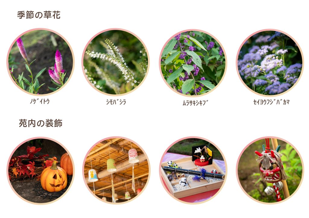 季節の花・装飾
