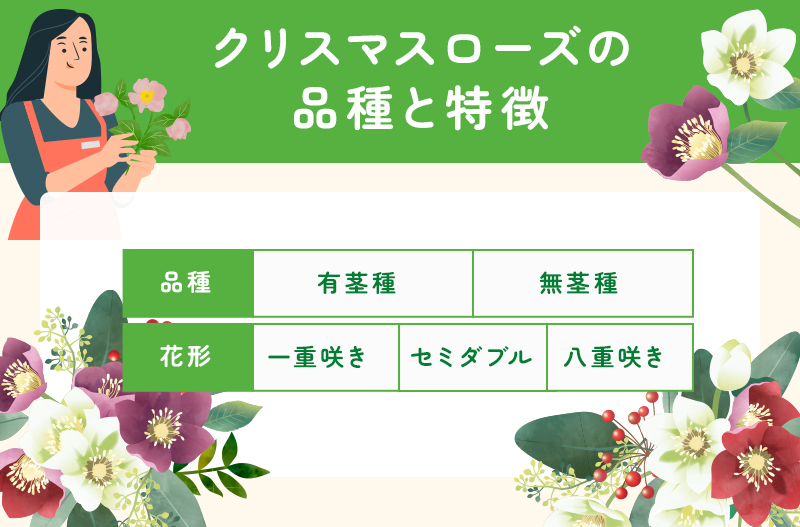 クリスマスローズの品種と特徴