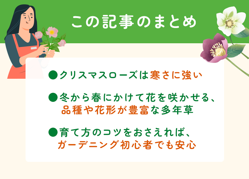 初心者必見!クリスマスローズの育て方と注意したい病気・害虫対策のまとめ