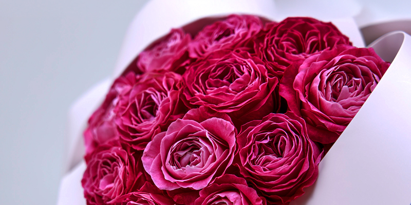 旬の花 レコメンドフラワー バラ 秋の花 いい夫婦の日 フラワーギフト