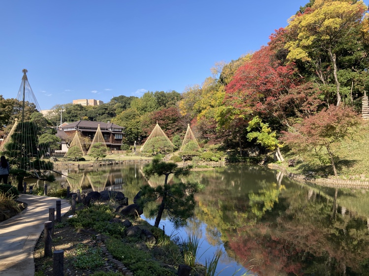 細川庭園紅葉